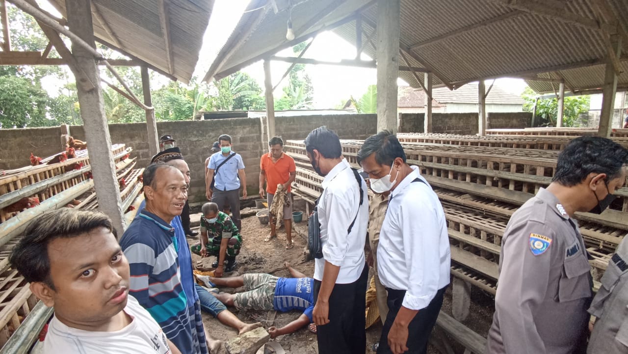 Dua Warga Tewas Tersengat Listrik Saat Benahi Kandang Ayam Indonesiapos