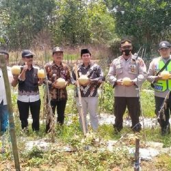 Kades Pasanggar Manfaatkan lahan Tidur Jadi Lahan Produktif