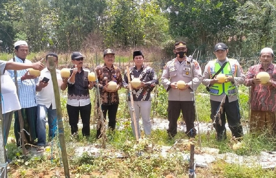 Kades Pasanggar Manfaatkan lahan Tidur Jadi Lahan Produktif